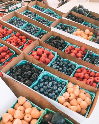 San Diego farmers market berries, best free things to do in San Diego, Living in San Diego real estate (18)