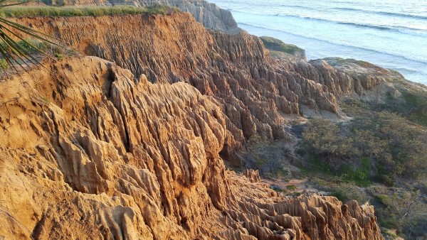 Torrey Pines cliffs, best free things to do in San Diego, Living in San Diego real estate (19)