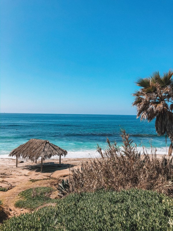Windansea beach, best free things to do in San Diego, Living in San Diego real estate (15)