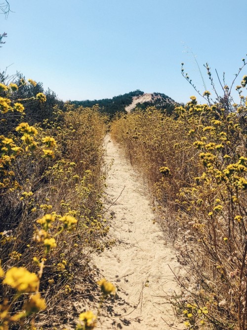 hiking path in San Diego, best free things to do in San Diego, Living in San Diego real estate (17)