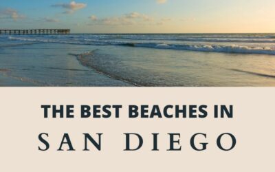 11 Best Beaches in San Diego