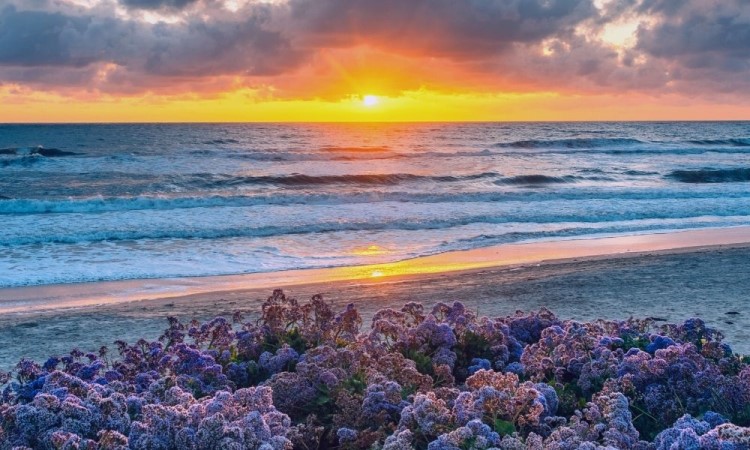 sunset at Del Mar beach, Living in Del Mar San Diego